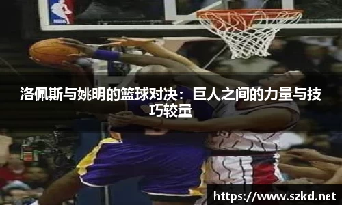 星空综合·(中国)官方网站